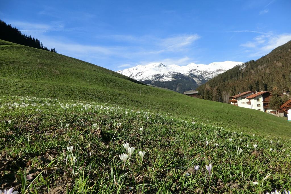 Alps Tux Apartamento Exterior foto